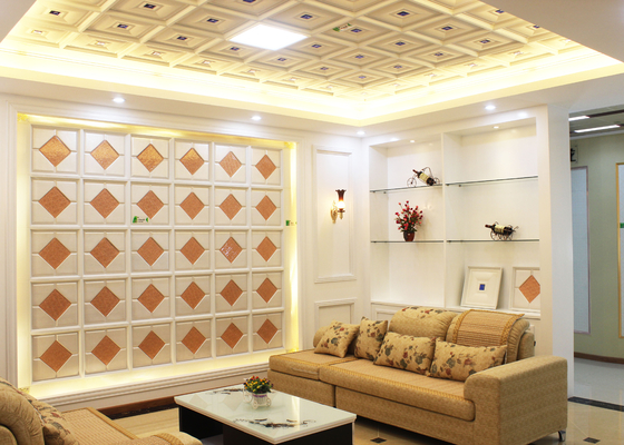 Pannelli per soffitti decorativi interni artistici per il salone, prova dello SGS