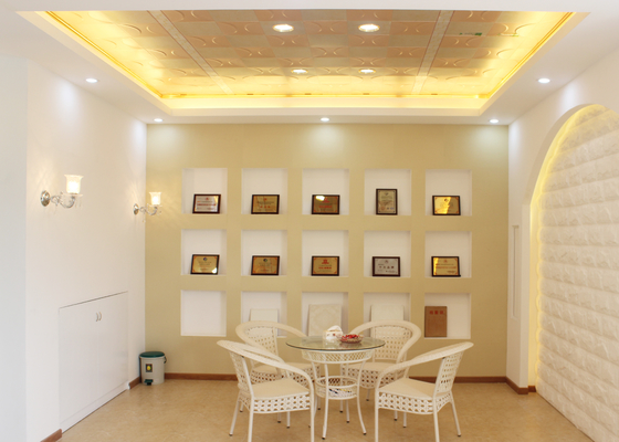 Mattonelle artistiche del soffitto del metallo residenziale, pannello decorativo del soffitto per la casa