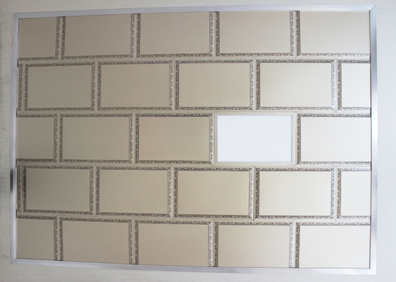 Superfici del Convex mattonelle artistiche del soffitto da 300 x 450 millimetri per il seminterrato, SONCAP