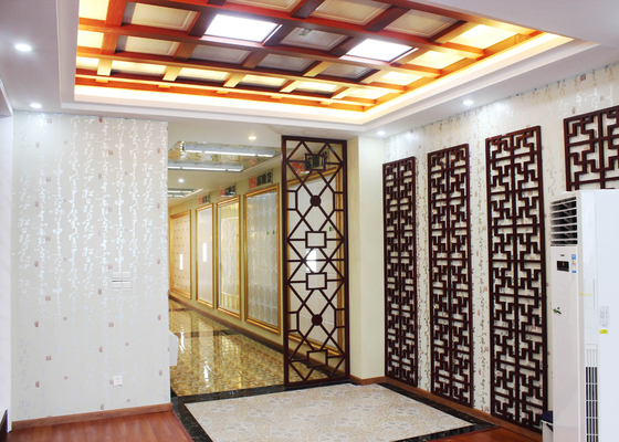 Mattonelle artistiche del soffitto di Arabesquitic dello speciale per l'ornamento della Camera, SONCAP