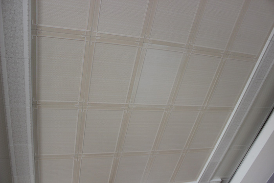 Mattonelle artistiche del soffitto del fono assorbente, pannelli per soffitti di alluminio unici