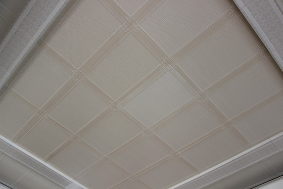 Mattonelle artistiche del soffitto del fono assorbente, pannelli per soffitti di alluminio unici