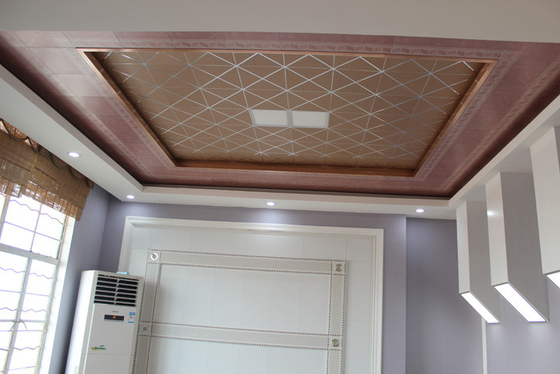 Il soffitto artistico di griglia piastrella la decorazione del metallo per lavare la stanza